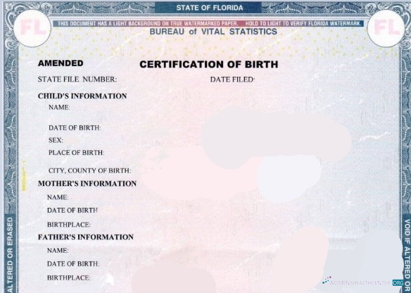 Download United States State office of Florida Vital Statistics certification of birth Photoshop template